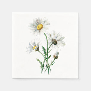 Vintage White Daisy Flower Illustration Floral Napkin