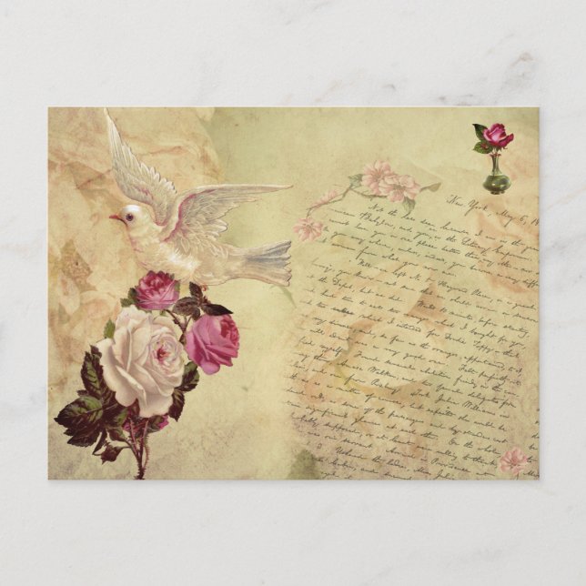 Vintage White Dove Shabby Chic Postcard (Front)
