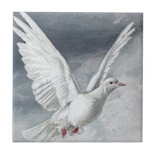 Vintage White Dove Tile