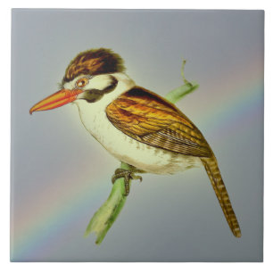 Vintage White-Eared Puff Bird with Rainbow Sky Tile