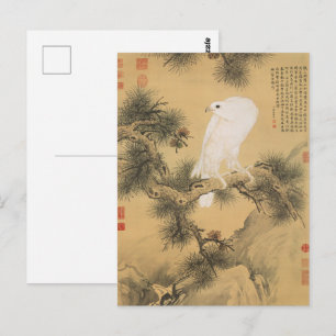 Vintage White Falcon on Pine Tree Chinese Art Postcard