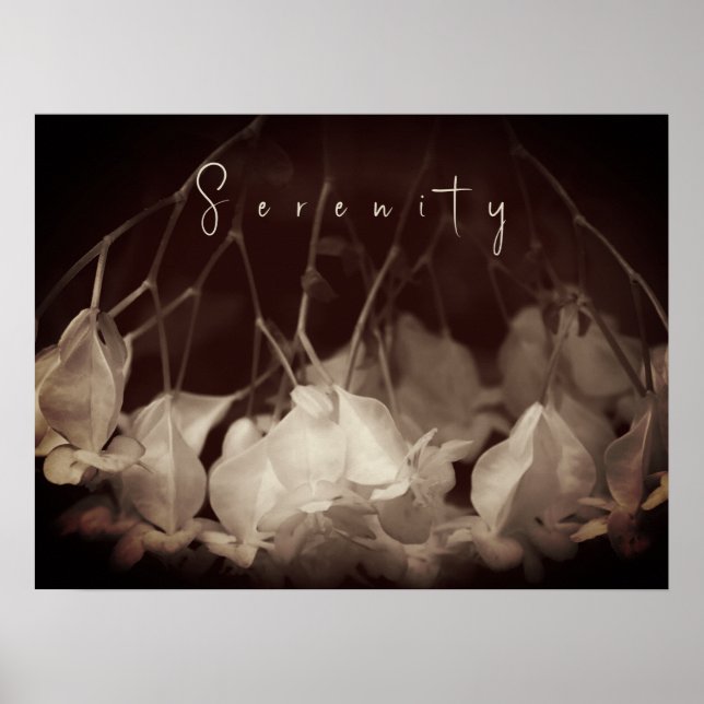 Vintage White Floral Poster (Front)