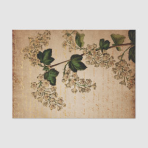 Vintage White Flowers Botanical Tissue Paper