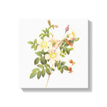 Vintage White Flowers Wrapped Canvas Print