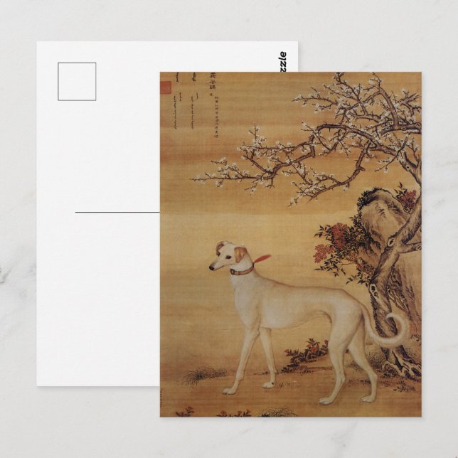Vintage White Greyhound Under Blossoms Postcard (Front/Back)