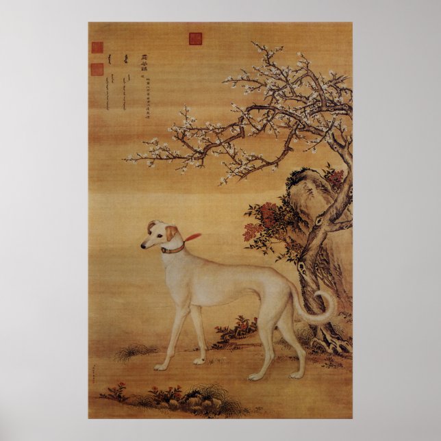 Vintage White Greyhound Under Blossoms Poster (Front)