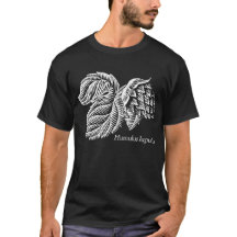 Vintage White Hop Humulus Lupulus Ink Art