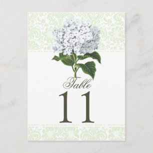 Vintage White Hydrangea Wedding Table Number Postcard