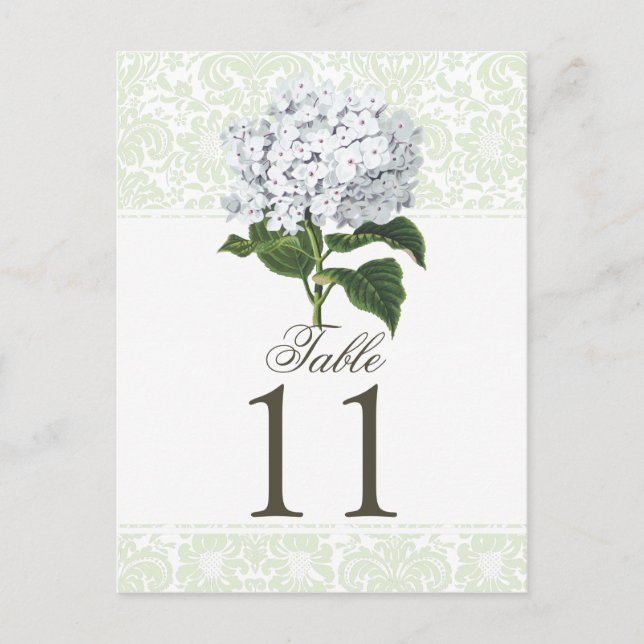 Vintage White Hydrangea Wedding Table Number Postcard (Front)