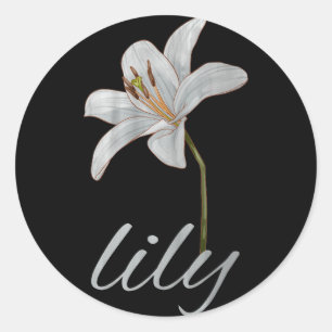 vintage white lily flower retro floral classic round sticker