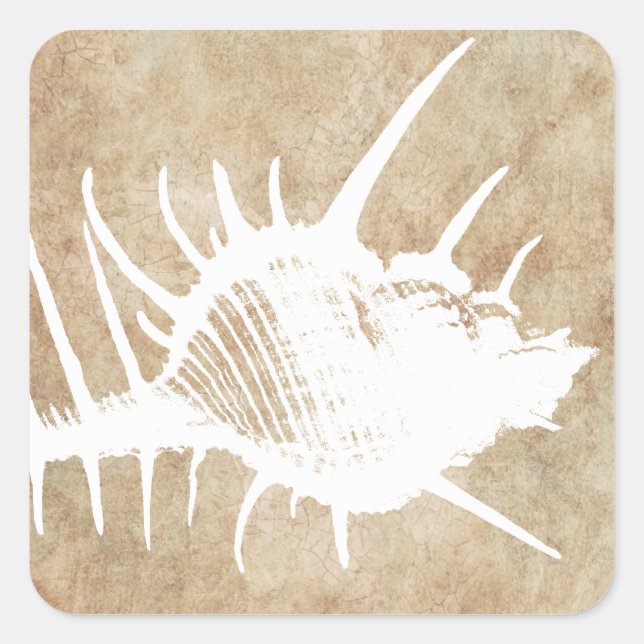 Vintage White Ocean Seahell Beach Square Sticker (Front)