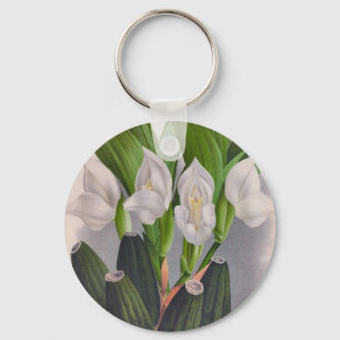 Vintage White Orchid Anguloa Uniflora Lindenia Key Ring
