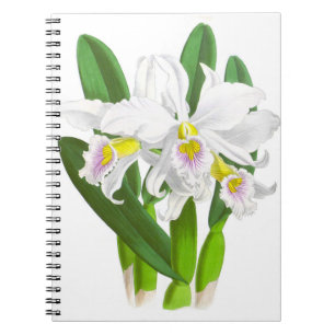 Vintage White Orchid Flower_GC Notebook