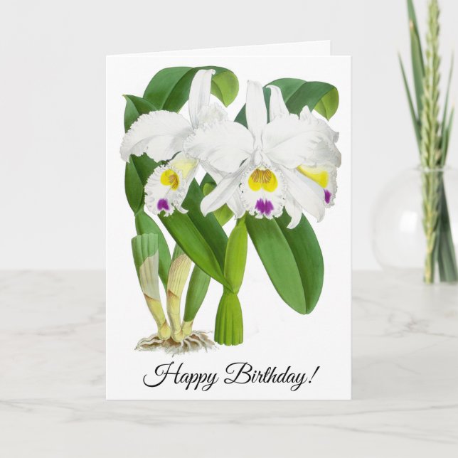 Vintage White Orchid Flower Personalised Card (Front)