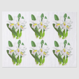 Vintage White Orchid Flower Tissue Paper