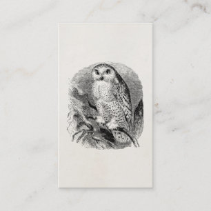 Vintage White Owl Bird Personalised Owls Birds Business Card