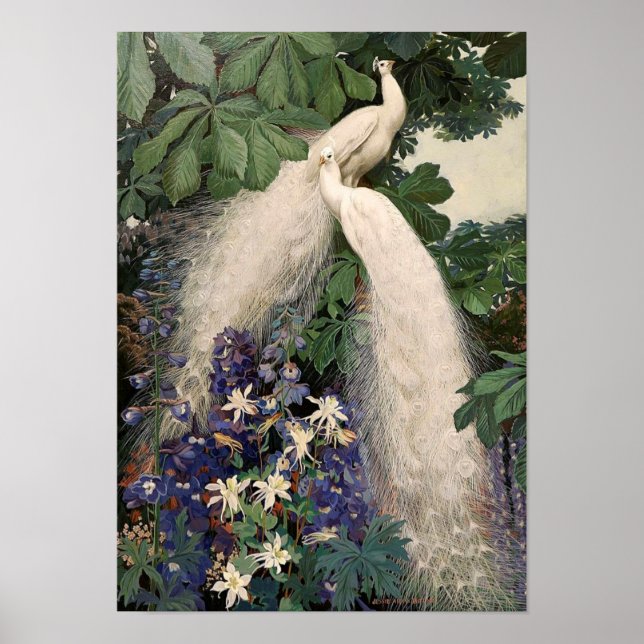 Vintage White Peacock Poster (Front)