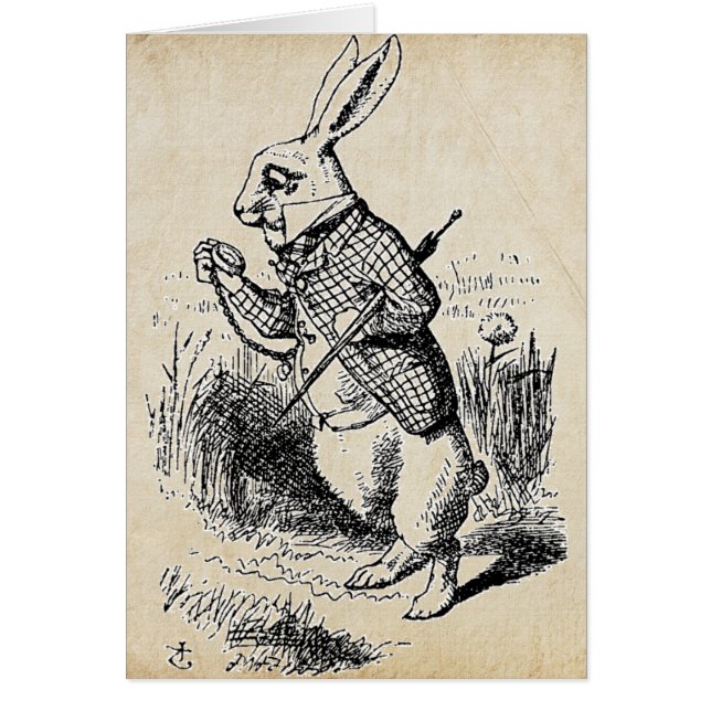 Vintage White Rabbit (Front)