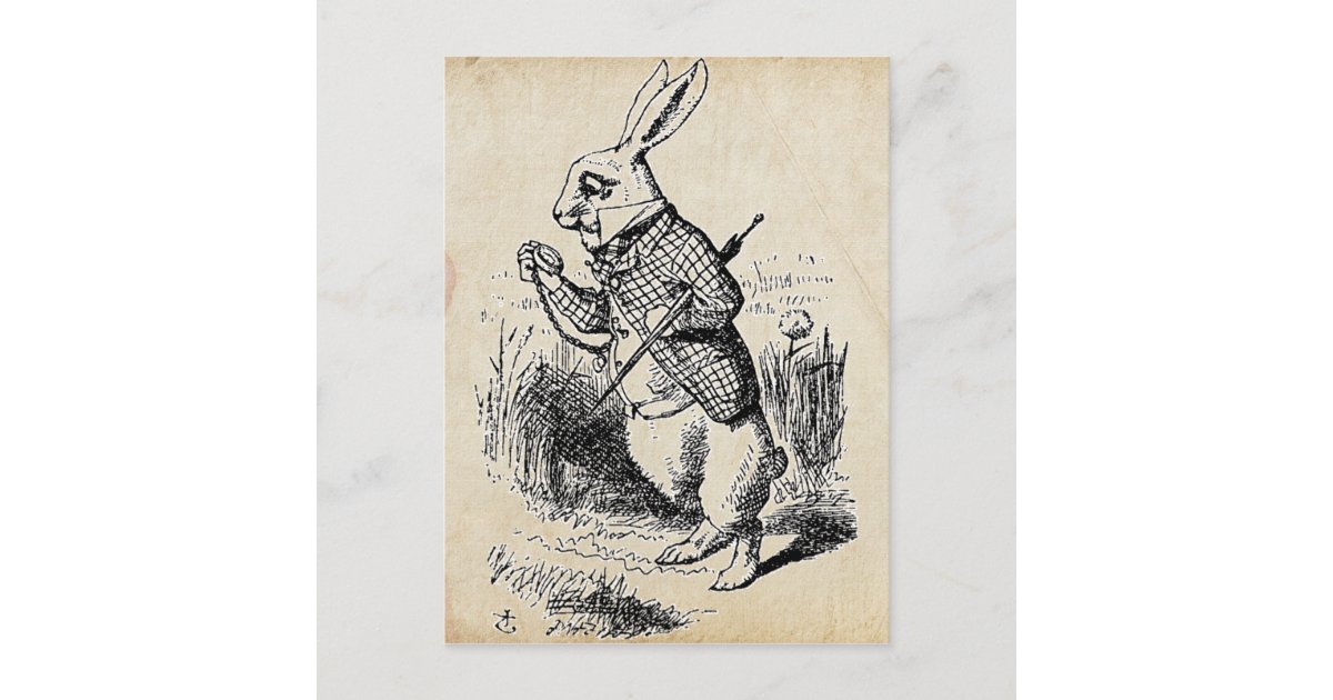 White Rabbit Postcard Vintage White Rabbit Postcard | Zazzle