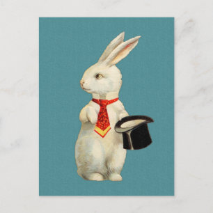 Vintage White Rabbit Postcard