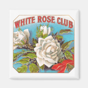 Vintage White Rose Club Flowers Magnet