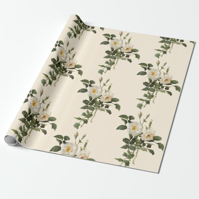 Vintage White Rose Flower Wrapping Paper (Unrolled)