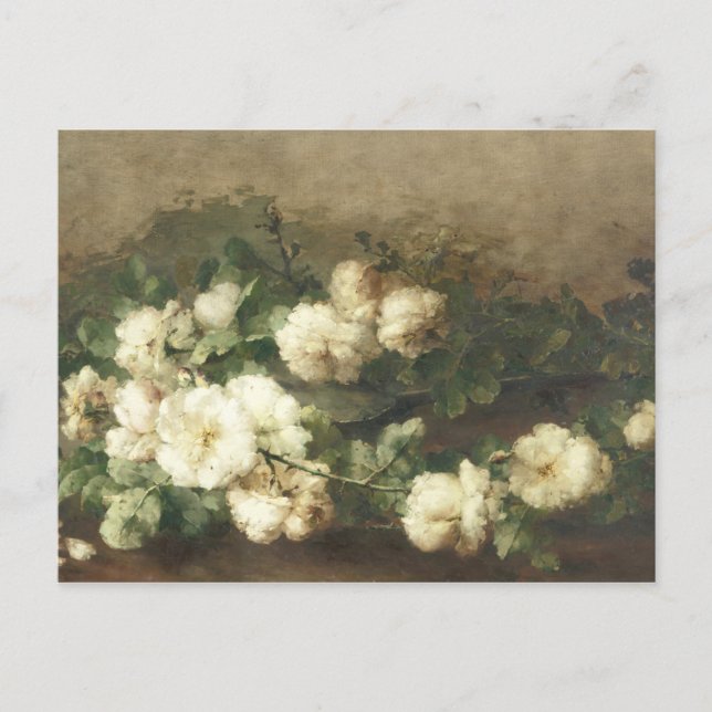 Vintage White Roses Oil Painting By Margaretha  Postcard (Front)