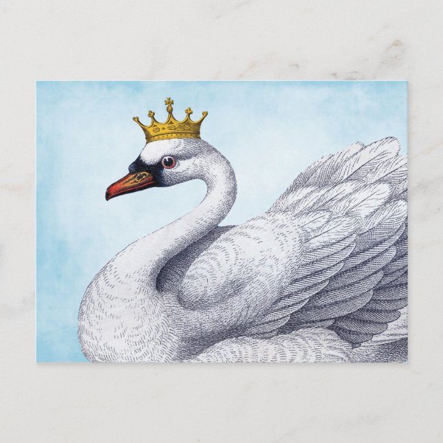 Vintage White Swan in Gold Crown Postcard (Front)