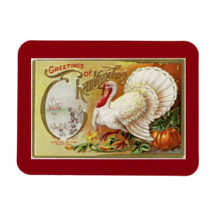 Vintage White Turkey Magnet