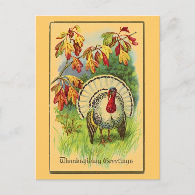 Vintage White Turkey Postcard (Front)