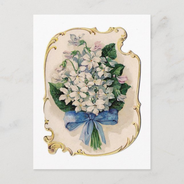 Vintage White Violets Invitation Postcard (Front)