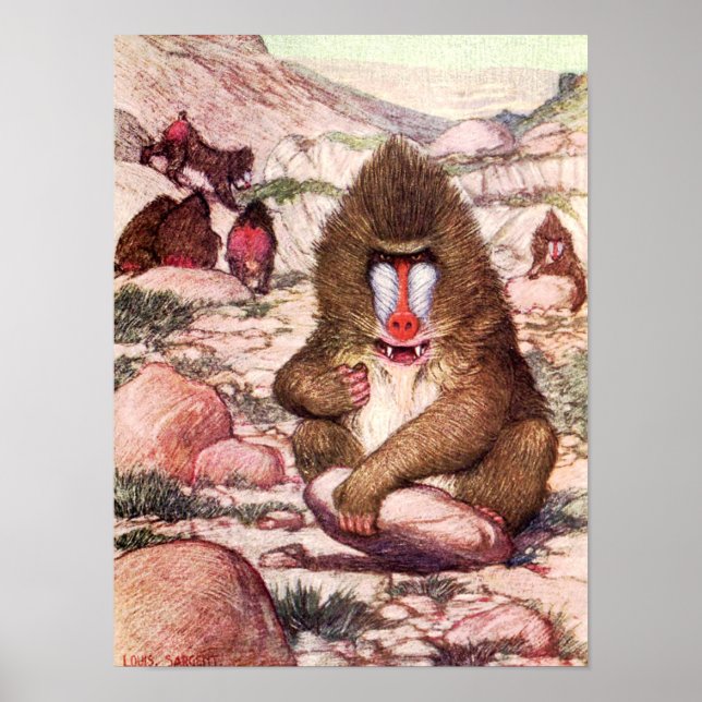 Vintage Wild Animal, Baboons by Louis Sargent Poster (Front)