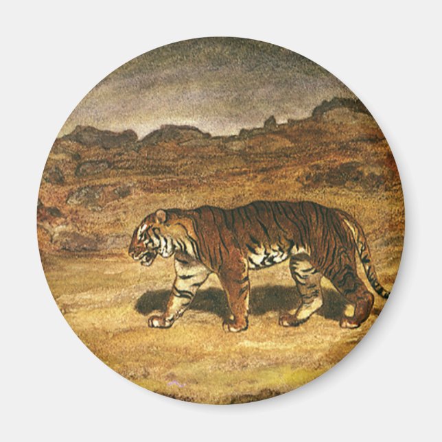 Vintage Wild Animal, Bengal Tiger Roaming Plains Magnet (Front)