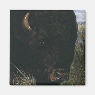 Vintage Wild Animal, Buffalo or American Bison Magnet