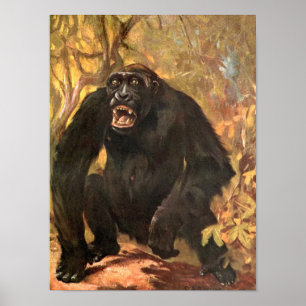 Vintage Wild Animal, Gorilla or Big Ape by CE Swan Poster