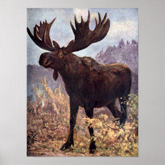 Vintage Wild Animal, Moose or Elk by CE Swan Poster