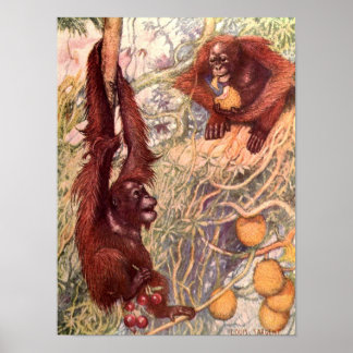 Vintage Wild Animal, Orangutans by Louis Sargent Poster