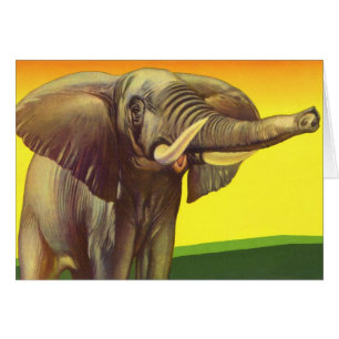 Vintage Wild Animals, African Elephant with Sunset