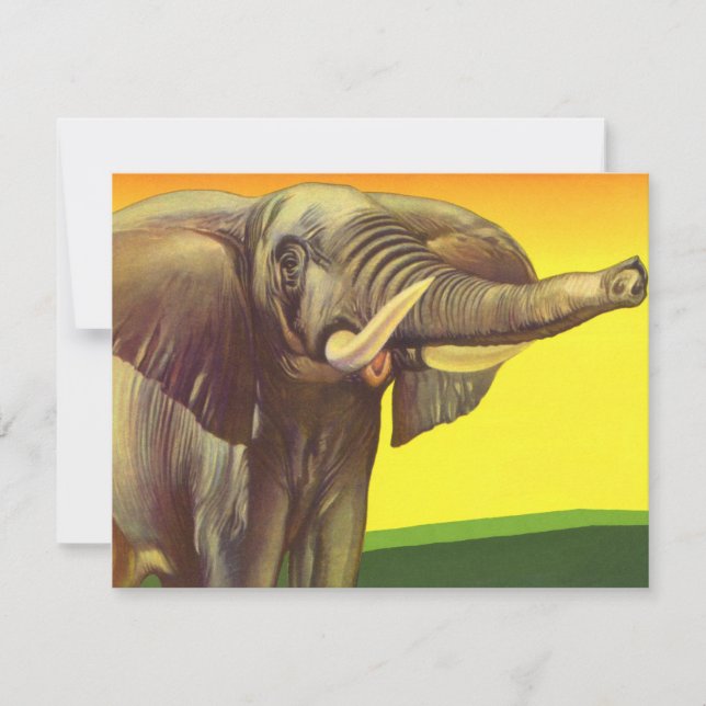 Vintage Wild Animals, African Elephant with Sunset (Front)