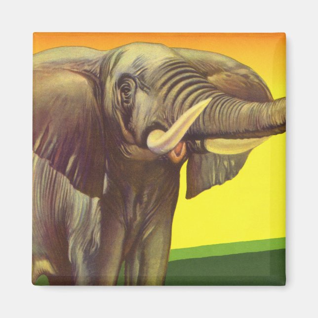 Vintage Wild Animals, African Elephant with Sunset Magnet (Front)