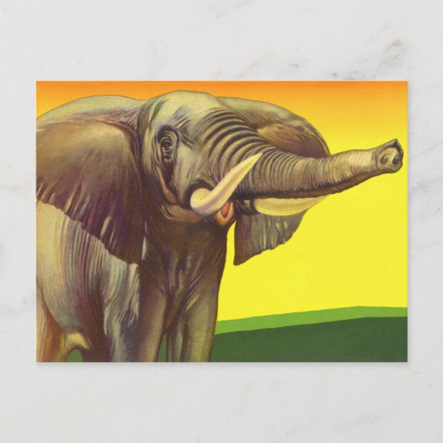Vintage Wild Animals, African Elephant with Sunset Postcard (Front)