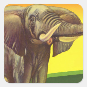 Vintage Wild Animals, African Elephant with Sunset Square Sticker