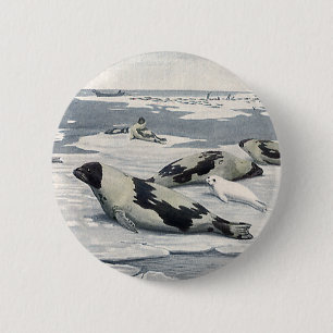 Vintage Wild Animals, Artic Harbour Seals Icebergs 6 Cm Round Badge