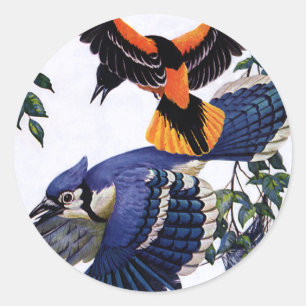 Vintage Wild Animals Birds, Blue Jays Flying Classic Round Sticker