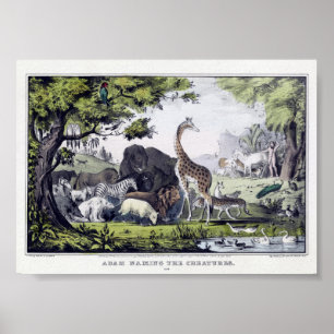 Vintage Wild Animals Illustration Poster