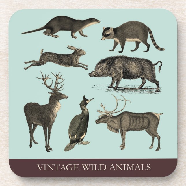 Vintage Wild Animals Plastic Coaster Set (Front)