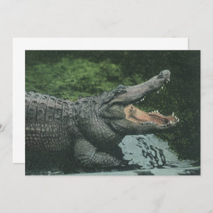 Vintage Wild Animals Reptiles Crocodile Invitation