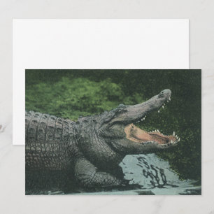 Vintage Wild Animals Reptiles Crocodile Invitation