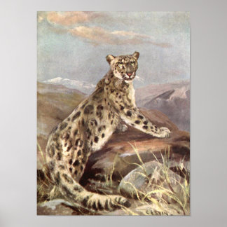 Vintage Wild Animals, Snow Leopard by CE Swan Poster