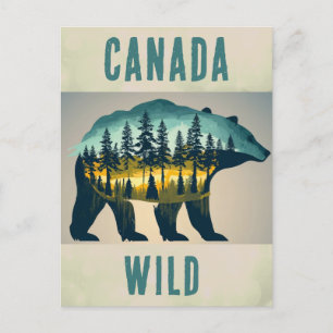 Vintage Wild Canada Bear Travel Postcard